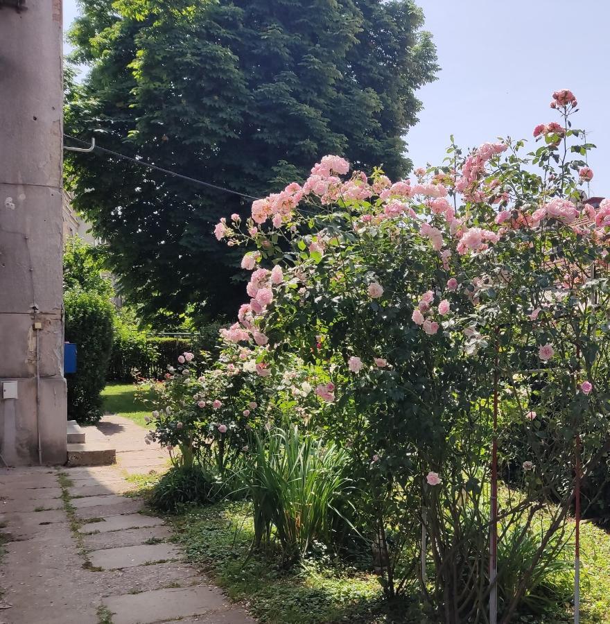 Appartamento Petit Coco Zagabria Esterno foto
